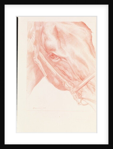 Portrait Head, 2012 by Emma Kennaway