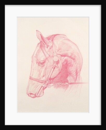 Portrait Head, 2010 by Emma Kennaway