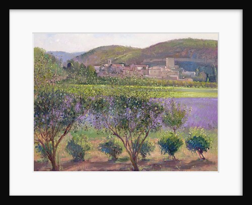 Lavender Seen Through Quince Trees, Monclus by Timothy Easton