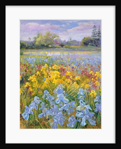 Irises, Willow and Fir Tree, 1993 by Timothy Easton