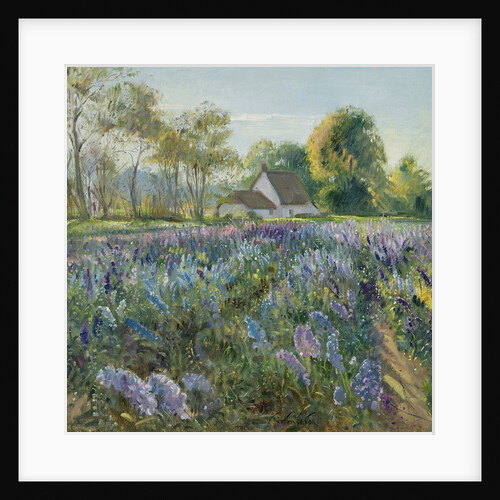 October Delphiniums by Timothy Easton