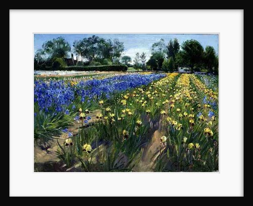 Towards the White Barn, 1996 by Timothy Easton