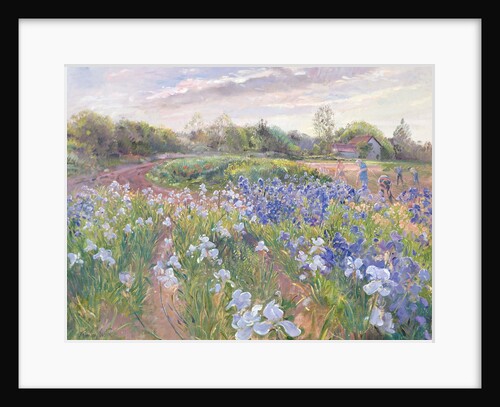Sunsparkle on Irises, 1996 by Timothy Easton