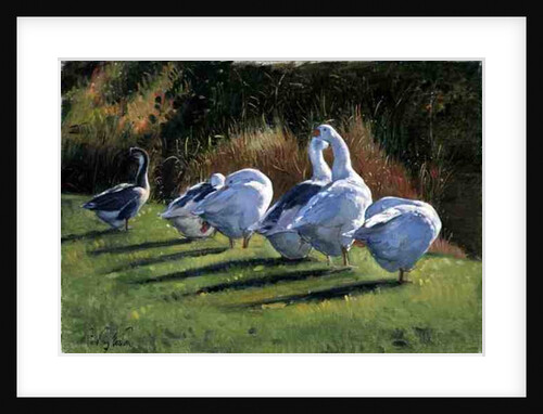 Moat Edge, Bedfield by Timothy Easton