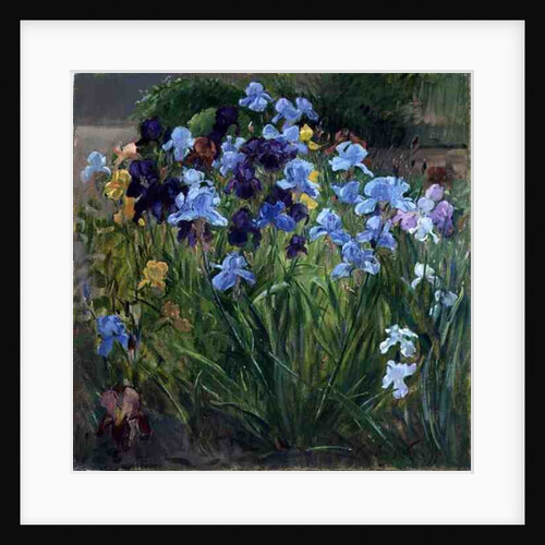 The Iris Bed, Bedfield, 1996 by Timothy Easton