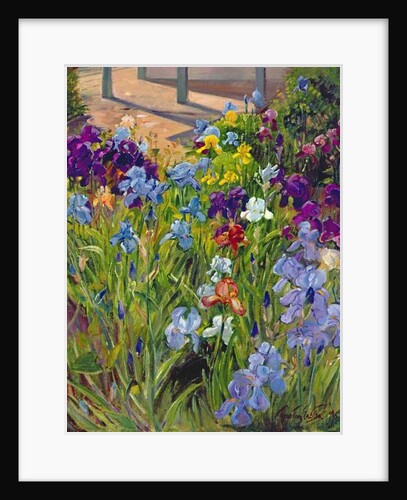 Irises and Summer House Shadows, 1996 by Timothy Easton