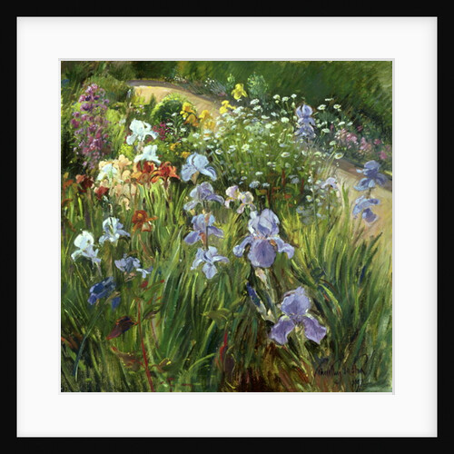 Irises and Oxeye Daisies, 1997 by Timothy Easton