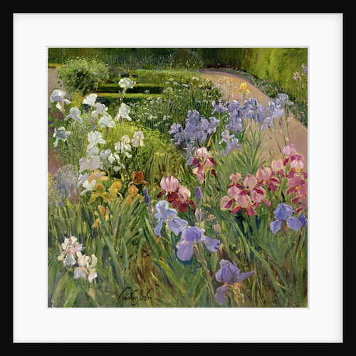 Irises at Bedfield by Timothy Easton