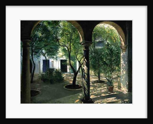 Shaded Courtyard, Vianna Palace, Cordoba by Timothy Easton