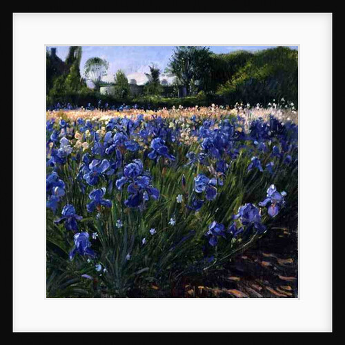 Above the Blue Irises by Timothy Easton