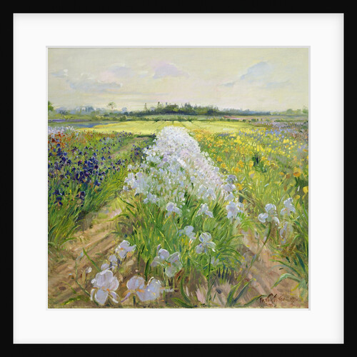 Down the Line, 1995 by Timothy Easton