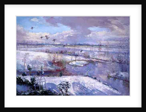 Flight Down, 1993 by Timothy Easton