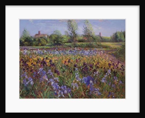 Irises and Burgate Green by Timothy Easton