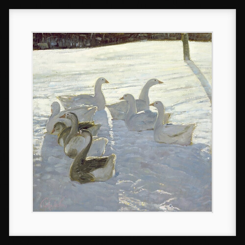 Geese Against the Light by Timothy Easton