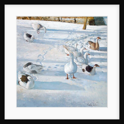 Resting on the Slope by Timothy Easton