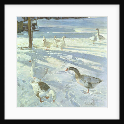 Snowfeeders, 1999 by Timothy Easton