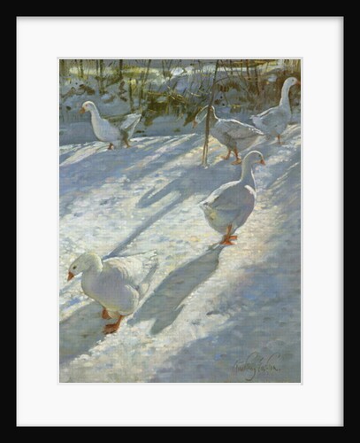 Exploring the Slope by Timothy Easton