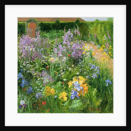 Sweet Rocket, Foxgloves and Irises, 2000 by Timothy Easton