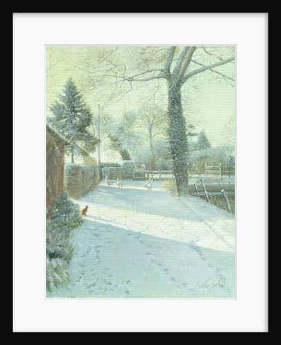 Criss-Cross by Timothy Easton