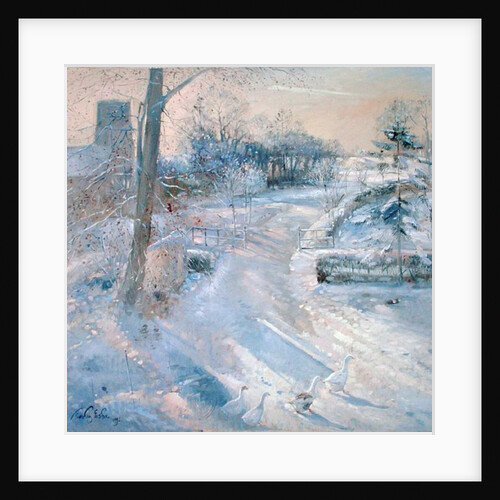 Between the Shadows by Timothy Easton