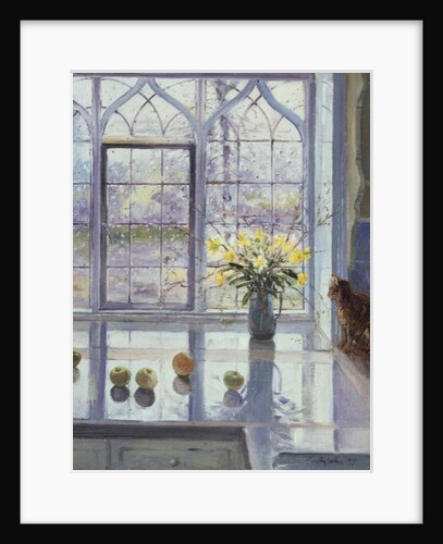 Rain Watching by Timothy Easton