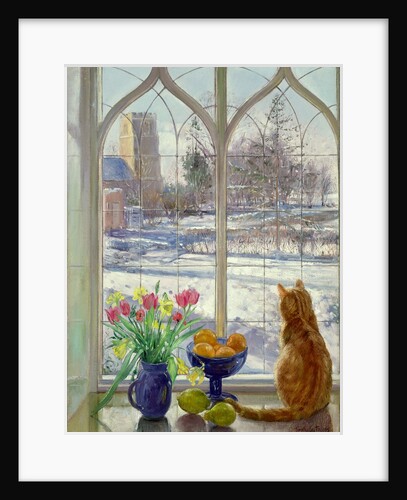 Snow Shadows and Cat by Timothy Easton