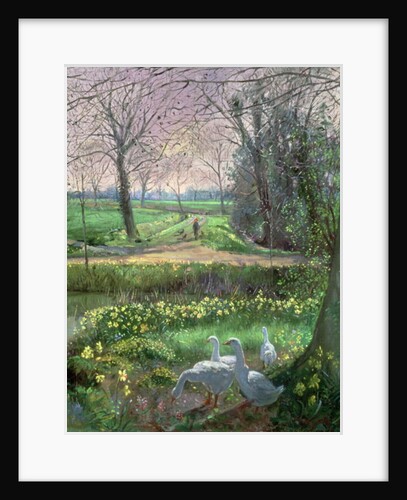 Spring Walk by Timothy Easton