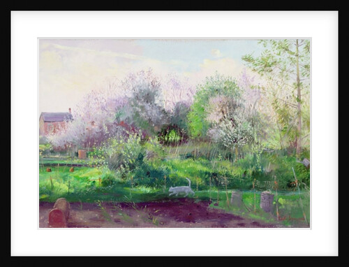 Allotment Stalker, 1991 by Timothy Easton