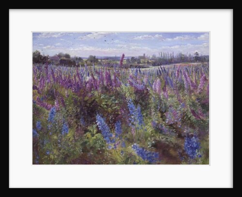 Delphinium Field and Church by Timothy Easton
