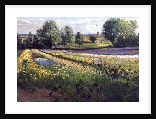 Iris Slope, 1991 by Timothy Easton