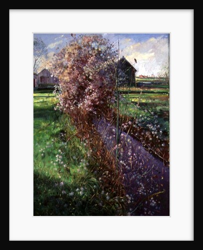 Bearded Bush by Timothy Easton