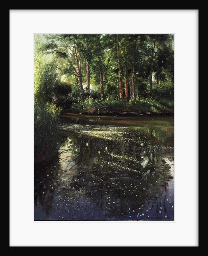 Waterflowers at Sunrise by Timothy Easton