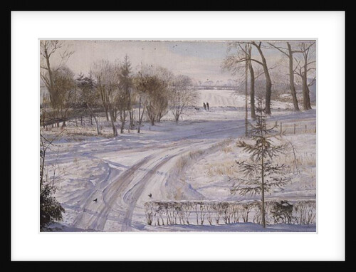 Moorhens Searching by Timothy Easton