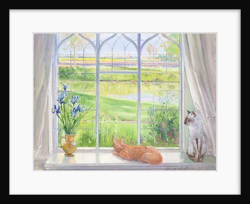 Evening Breeze by Timothy Easton