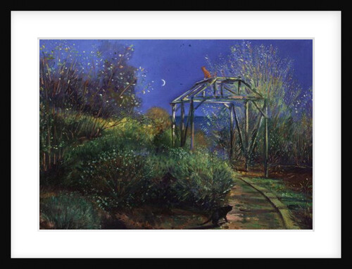 Night Revels by Timothy Easton