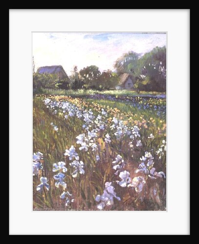 White Irises and Farmstead by Timothy Easton