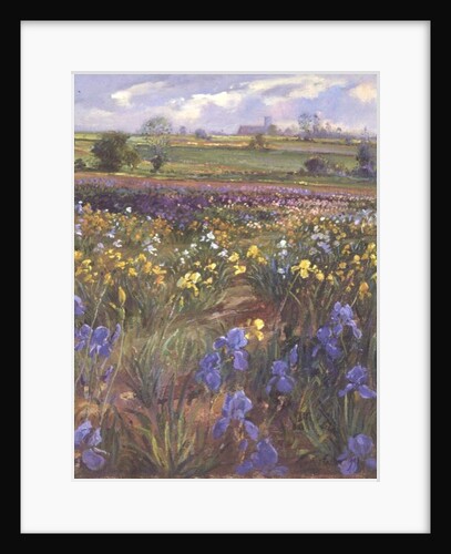 Towards Burgate Church by Timothy Easton