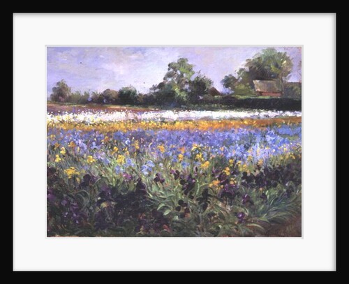 Iris Field and Two Cottages by Timothy Easton
