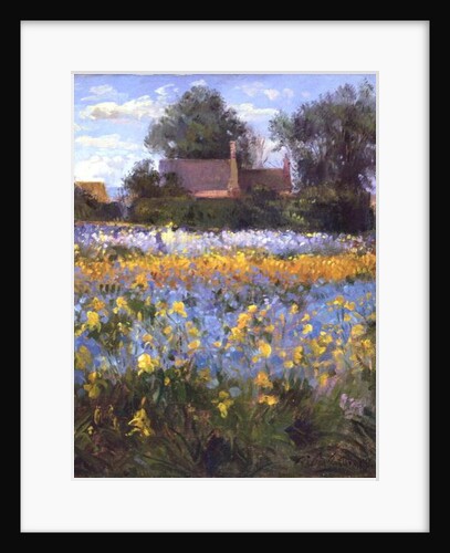 The Enclosed Cottages in the Iris Field by Timothy Easton