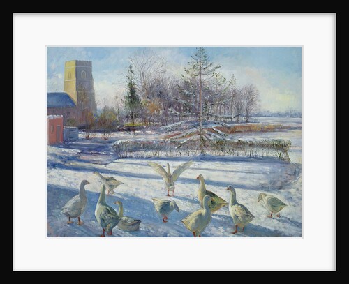 Snow Geese, Winter Morning by Timothy Easton