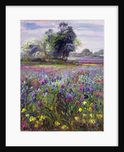 Irises and Distant May Tree, 1993 by Timothy Easton