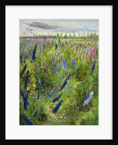 Delphiniums and Emerging Sun, 1991 by Timothy Easton