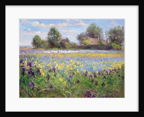 Farmstead and Iris Field, 1992 by Timothy Easton