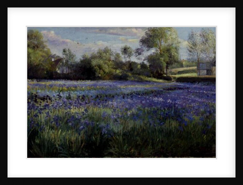 Dappled Light on the Iris Field, 1991 by Timothy Easton