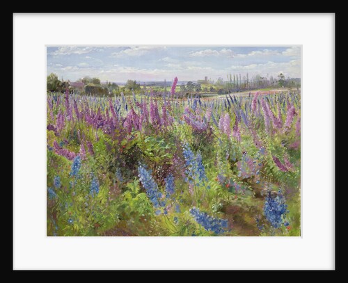 Delphiniums and Poppies, 1991 by Timothy Easton