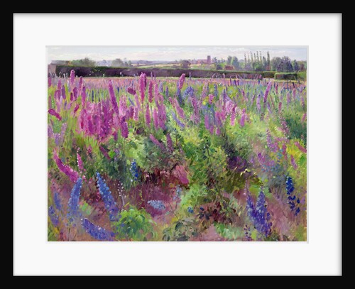 The Delphinium Field, 1991 by Timothy Easton