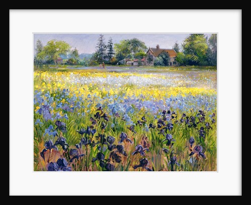 Irises and Two Fir Trees, 1993 by Timothy Easton