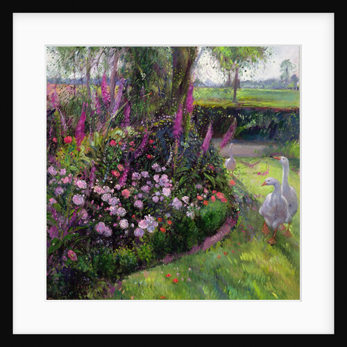 Rose Bed and Geese, 1992 by Timothy Easton