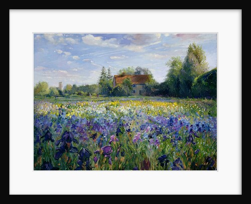 Evening at the Iris Field by Timothy Easton