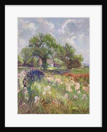 White Barn and Iris Field, 1992 by Timothy Easton